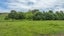 880 Kopuku Road, Maramarua Forest, Te Kauwhata - Carousel 7