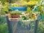 475 Taemaro Road, Hihi, Mangonui - Carousel 28