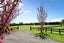 27C Hodge Drive, Tamahere - Carousel 1