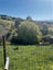 6 Francis James Lane, Redcliffs, Christchurch - Carousel 9