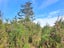 0 Virgin Flat Road, Virgin Flat, Cape Foulwind - Carousel 3