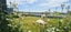 2 Verdun Street, Riverton/Aparima - Carousel 12