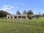 942 Horrell Road, Te Puninga, Morrinsville - Carousel 24