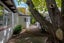 24 Keeling Street, West End, Palmerston North - Carousel 20