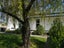 67 Nelson Street, Georgetown, Invercargill - Carousel 1