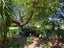 292 Manukau Road, Epsom, Auckland - Carousel 11