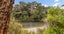 64 Larchmont Grove, Totara Park, Upper Hutt - Carousel 6