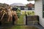 60A Chalmers Avenue, Hampstead, Ashburton - Carousel 18