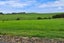 33 Cotton Lane, Wellsford - Carousel 7