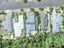 88 Weggery Drive, Waikanae Beach, Waikanae - Carousel 23