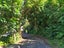 498 Wyuna Bay Road, Wyuna Bay, Coromandel - Carousel 8