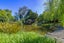 323 Reid Line, Bunnythorpe - Carousel 44