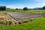 211 Sercombe Road, Geraldine Downs - Carousel 3