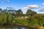 1278 Horotiu Road, Whatawhata - Carousel 39