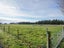 329 Wallacetown Lorneville Highway, Makarewa, Invercargill - Carousel 45