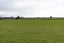 234 Kukutauaki Road, Koputaroa, Shannon - Carousel 3