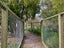 23 Goodwood Road, Goodwood - Carousel 19