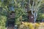 329 Goulds Road, Christchurch - Carousel 42