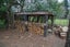 32 Fitzgerald Street, Coalgate - Carousel 6