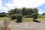 167 Lorne Dacre Road, Lorneville, Invercargill - Carousel 26