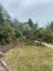 35 Beckford Road, Saint Martins, Christchurch - Carousel 32