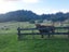 26 Kanuka Drive, Waitārere, Levin - Carousel 4