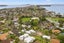 4A Embling Place, Eastern Beach, Auckland - Carousel 5