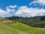 424A Hot Springs Road, Tahawai, Katikati - Carousel 37
