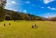 4023 Northbank Road, Blenheim - Carousel 28