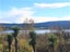 63 Greenwich Street, Waihola - Carousel 20