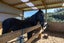 719 Waikare Road, Karetu, Kawakawa - Carousel 33
