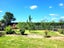 954 Temuka - Orari Highway, ORARI, TEMUKA - Carousel 28