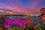 19 Ngapipi Road, Orakei, Auckland - Carousel 23