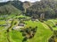 1038 State Highway 4, Parikino, Whanganui - Carousel 19