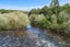 205 Te Rena Road, Kakahi - Carousel 6