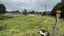 3 Tongaporutu Road, Ohura - Carousel 1