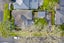 2/29 Baildon Road, Grey Lynn, Auckland - Carousel 4