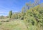 244D Georges Road, Glasnevin, Amberley - Carousel 8