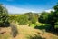 235 Devich Road, Kaiwaka - Carousel 29