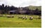 80 Blackbridge Road, Albany - Carousel 25