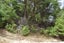 4 Wilson Avenue, Kawau Island - Carousel 4