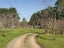 1776 State Highway 2, Tauherenikau, Greytown - Carousel 2
