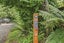 6A Spencer Place, Merrilands, New Plymouth - Carousel 37