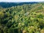 189 Waikino Road, Karetu, Kawakawa - Carousel 8
