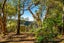 1090 Scenic Drive North, Swanson, Auckland - Carousel 29