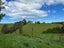 81 Maudes Road, Deborah - Carousel 2