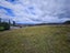 1252 Arnold Valley Road, Dobson - Carousel 15