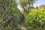 5 Bydder Terrace, Patons Rock - Carousel 17