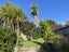 10 Scarlet Oak Drive, Schnapper Rock, Auckland - Carousel 3