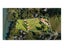 26 Manuka Drive, Whangamatā - Carousel 5